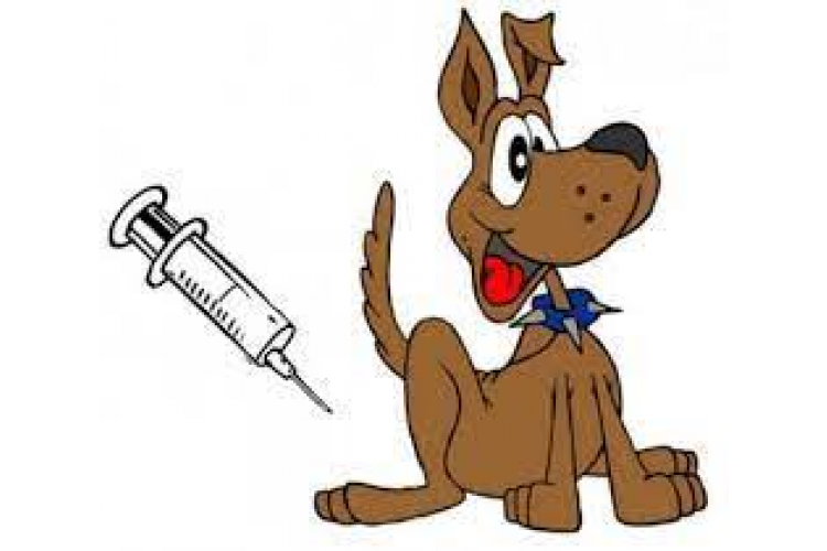 Ve středu 30.6.2021 od 16 hodin proběhne v naší obci očkování psů proti vzteklině